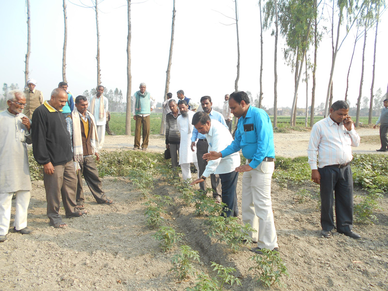 उद्यान विभाग बरेली  द्वारा किसानों का भ्रमण