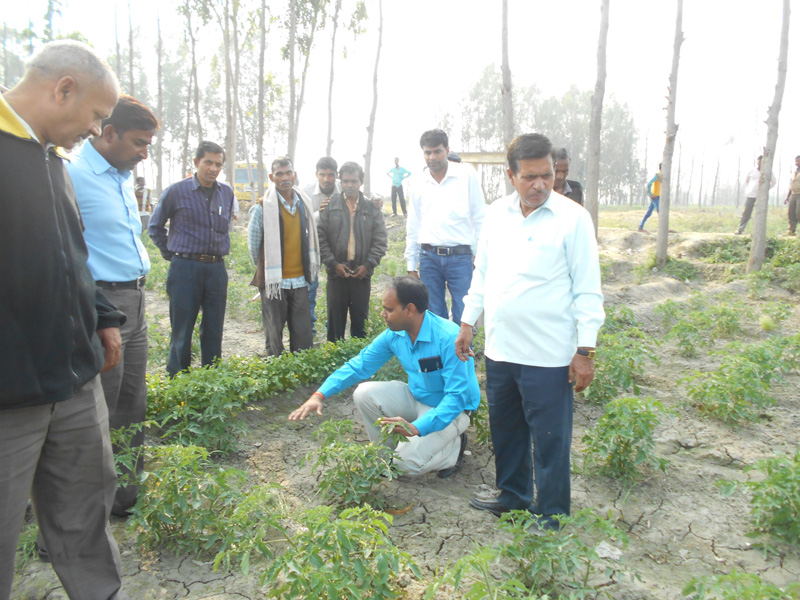 उद्यान विभाग बरेली  द्वारा किसानों का भ्रमण