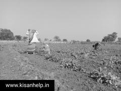 किसानों की आय दोगुनी करने के लिए सरकार की एक और कोशिश