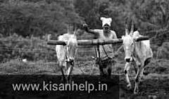 किसान सममान योजना एप शुरू स्थिति की जांच  या आधार आदि के नाम पर सुधार सम्भव