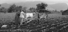 पोषक तत्वों की पूर्ति में जैविक खादों का महत्व