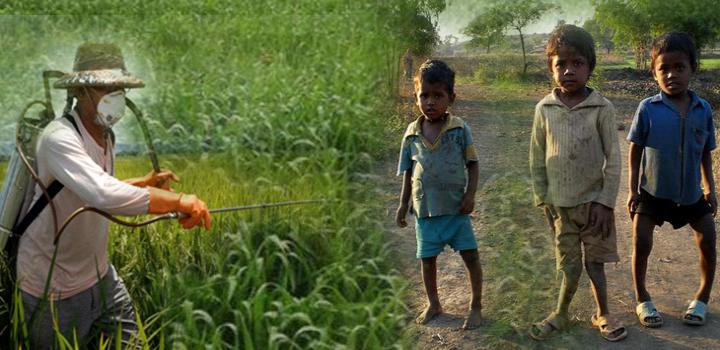 kisan help line कीटनाशक बने मानवनाशक