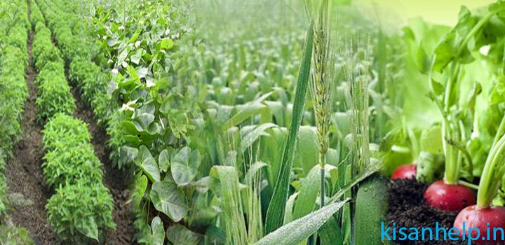 kisan help line जैविक कृषि का अर्थ है पंचतत्वों से संतुलन बनाकर चलना