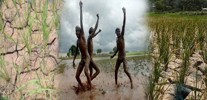 मॉनसून kisanhelp.in