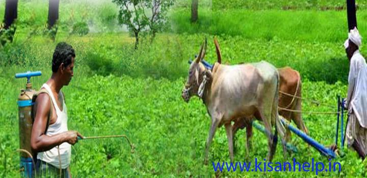 कृषि उत्पादन में कीटनाशकों की भूमिका कृषि उत्पादन में कीटनाशकों की भूमिका