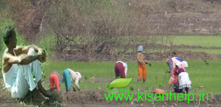 किसानों की आय क्या किसानों की आय दुगनी होगी?