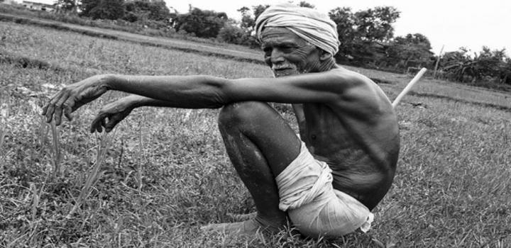 कृषि विनाश कृषि विनाश के कारण हम तो नहीं ....................?