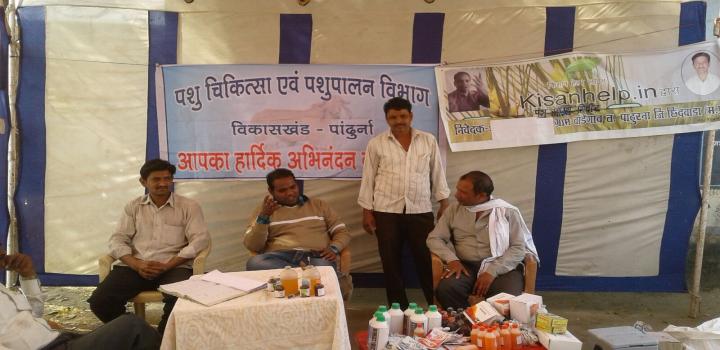 किसान हेल्प द्वारा पशु चिकित्सा शिबीर का आयोजन