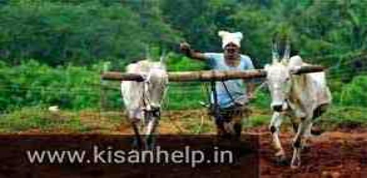 किसान सममान योजना एप शुरू स्थिति की जांच  या आधार आदि के नाम पर सुधार सम्भव