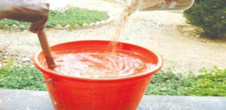 बीजोपचार से फसलोत्पादन का नुकसान कम होगा