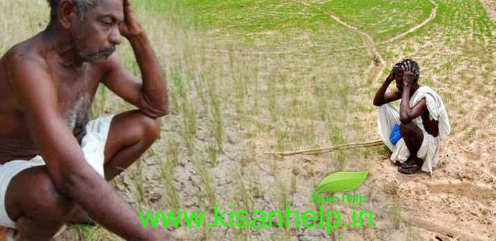 छत्तीसगढ़ की 40 तहसीलों में सूखे के हालात