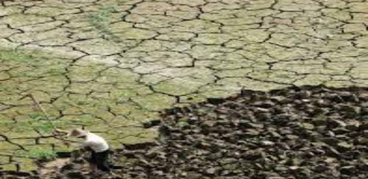 हाय  रे बारिश खेतों में पड़ने लगी दरारें, किसान परेशान