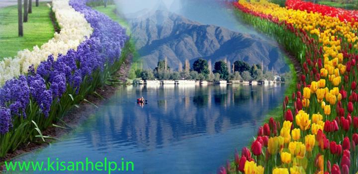 कश्मीर की वादियों के किसानो की समस्यायें होगी दूर केन्द्र करेगा आँकलन