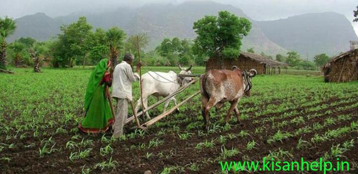 अधिक जनसंख्या और गिरती उपज का एक मात्र हल जैविक खेती