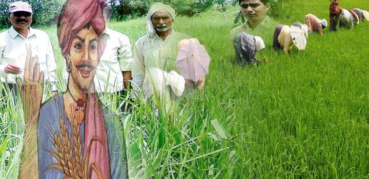 kisanhelp