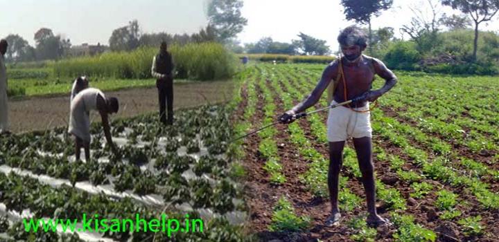हक के इंतजार में किसान हक के इंतजार में किसान