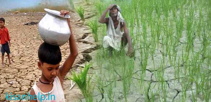 सूखा , किसान, जंगल, पानी , फ़सल , सूक्ष्म जीवाणु, केंचुआ, कीड़े-मकोड़े , मौसम, kisanhelp सूखे का संकट स्थायी क्यों है