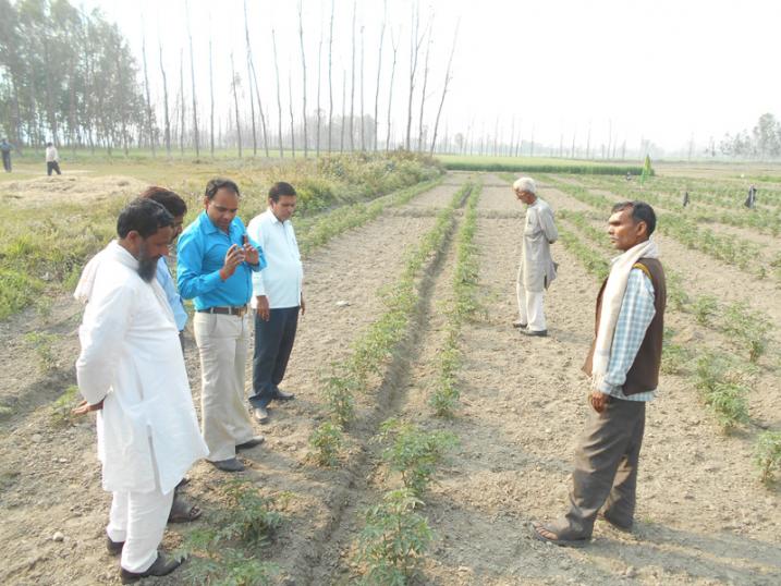 उद्यान विभाग बरेली  द्वारा किसानों का भ्रमण