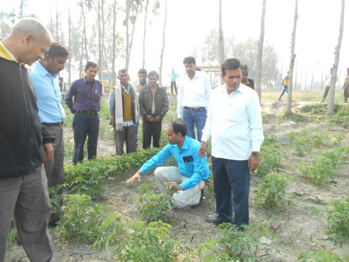 उद्यान विभाग बरेली  द्वारा किसानों का भ्रमण