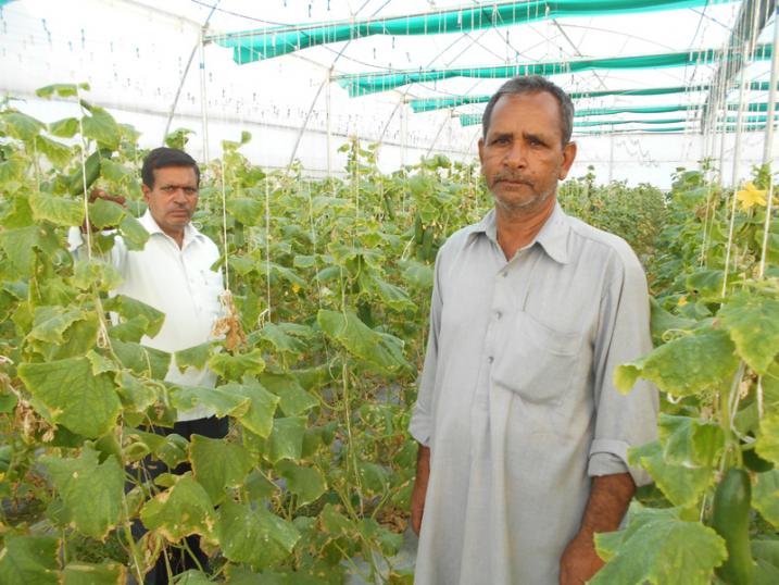 उद्यान विभाग बरेली  द्वारा पाली हाउस भ्रमण 